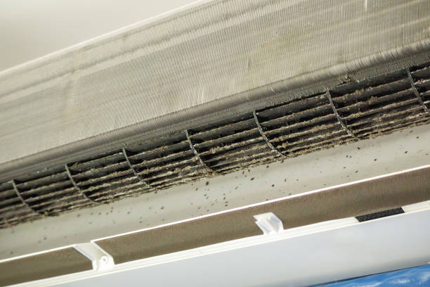 Best Local Air Duct Cleaning Services  in East Village, CT